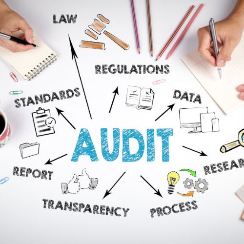 Statutory Audit and Assurance Services